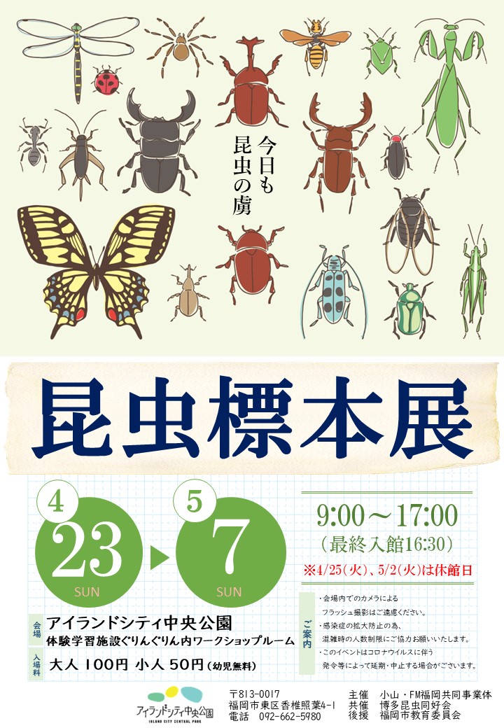 昆虫標本展 -2023- ｜ アイランドシティ中央公園